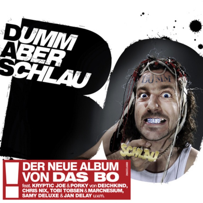 Dumm aber schlau cover