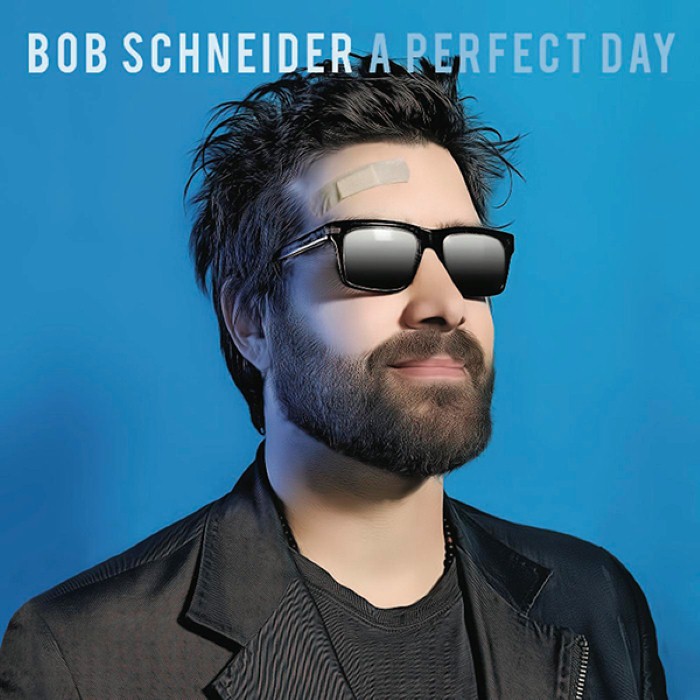A Perfect Day cover