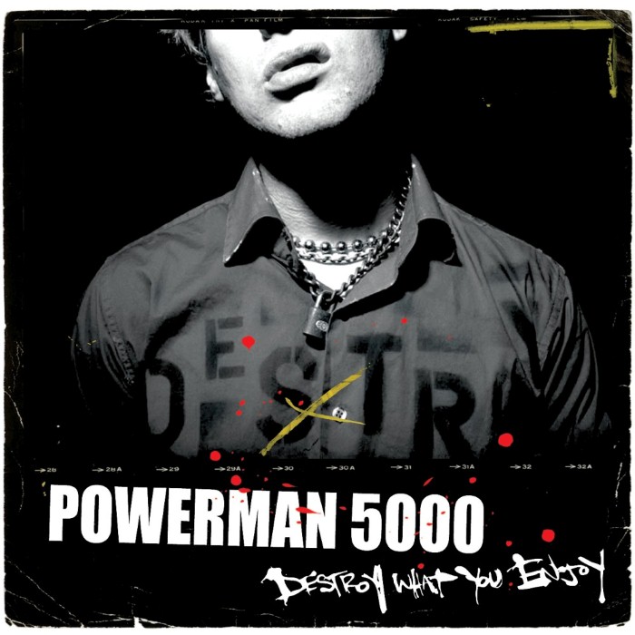 Destroy What You Enjoy cover