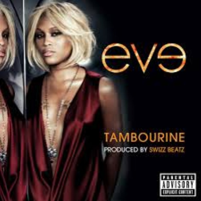 Tambourine cover