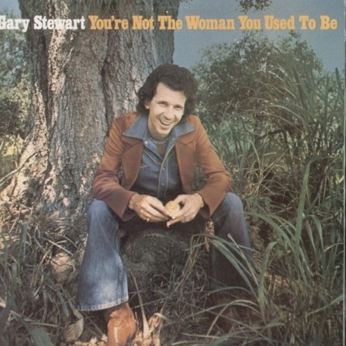 You're Not the Woman You Used to Be cover