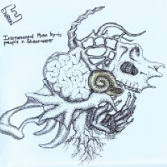 Album Thumb