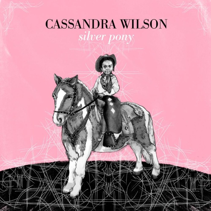 Silver Pony cover