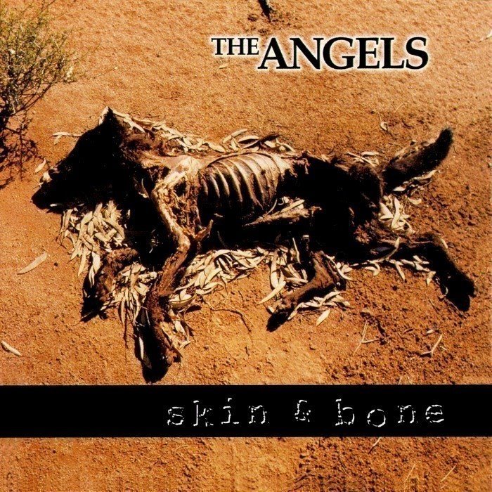 Skin & Bone cover