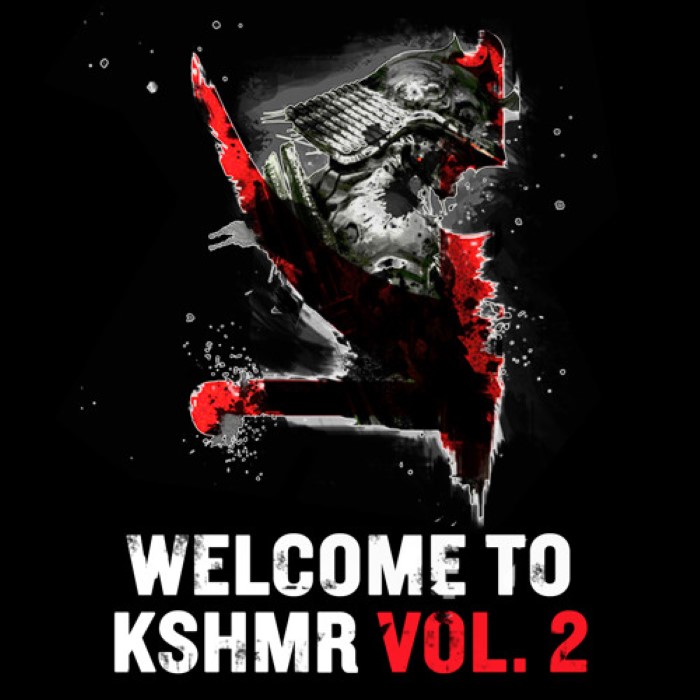 Omnislash cover