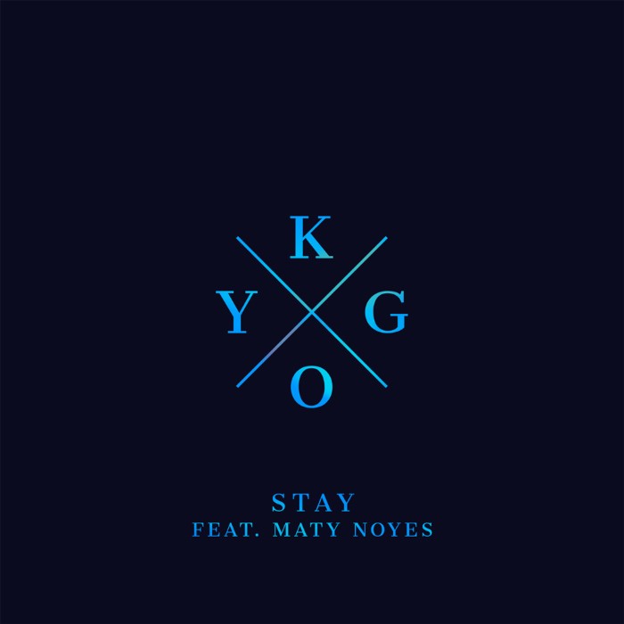 Stay cover