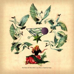 Album Thumb