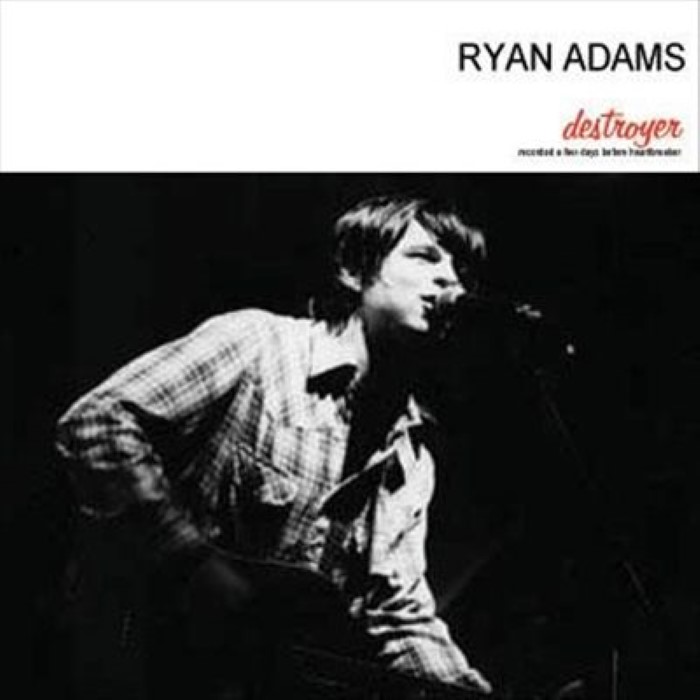 The Destroyer Sessions cover