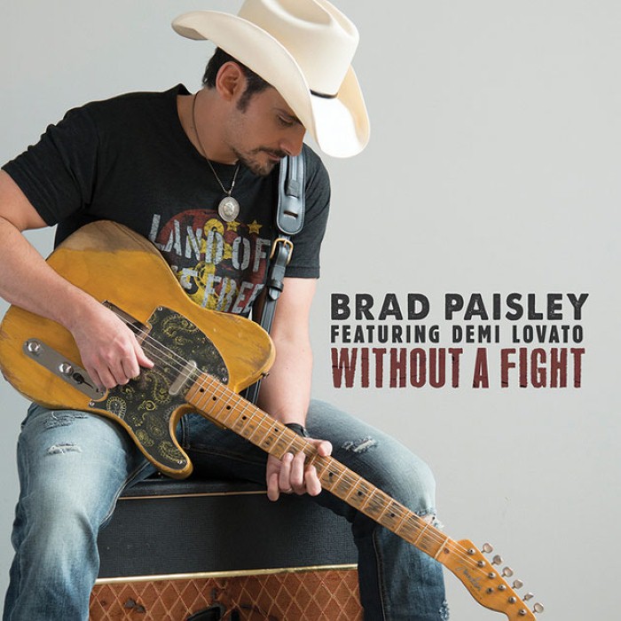 Without a Fight cover