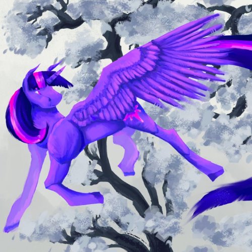 Horse Friends album thumb