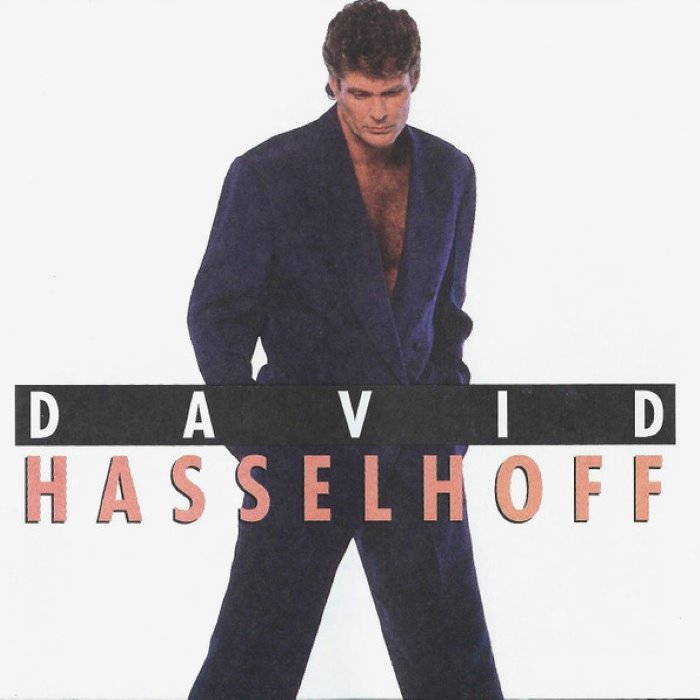 David Hasselhoff cover