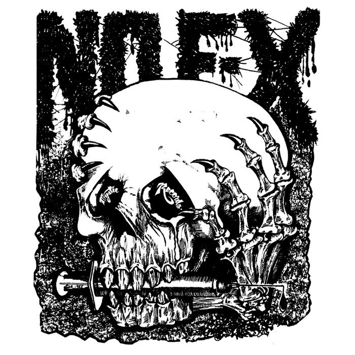 The Album cover