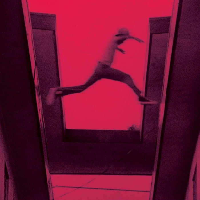 The Ecstatic cover
