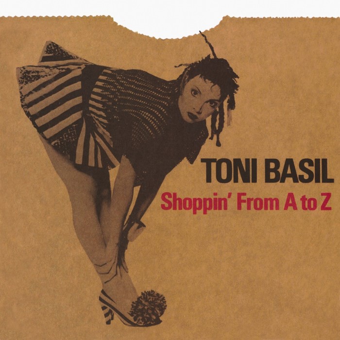 Toni Basil cover