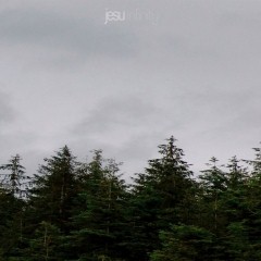 Album Thumb