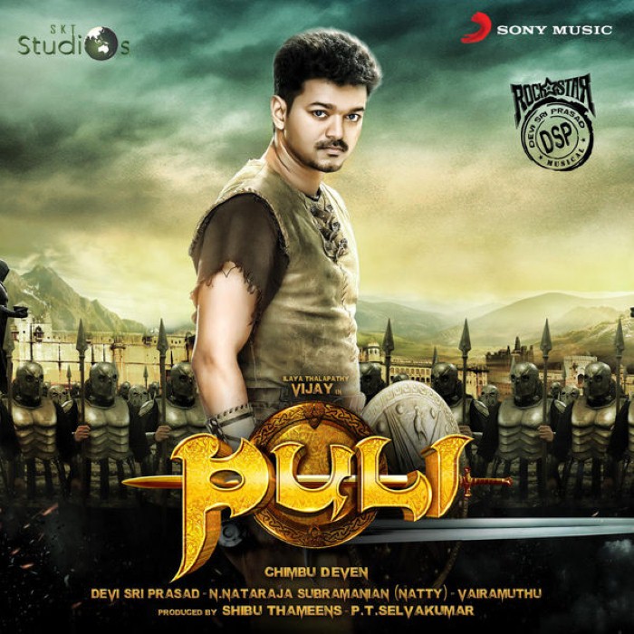 Puli cover