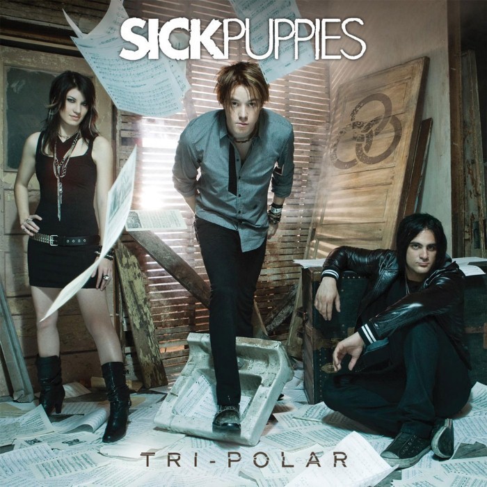 Tri-Polar cover