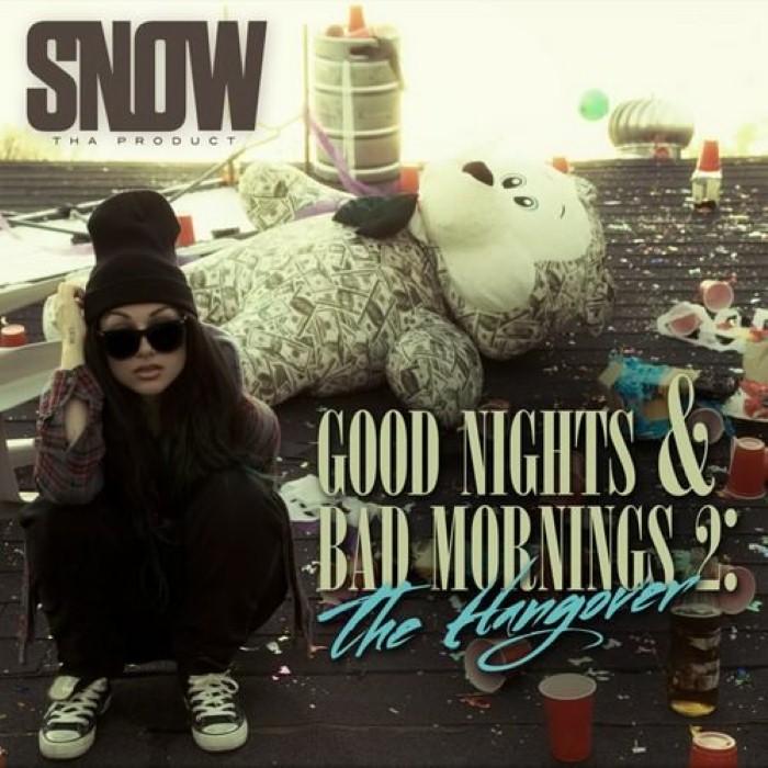 Good Nights & Bad Mornings 2: The Hangover cover