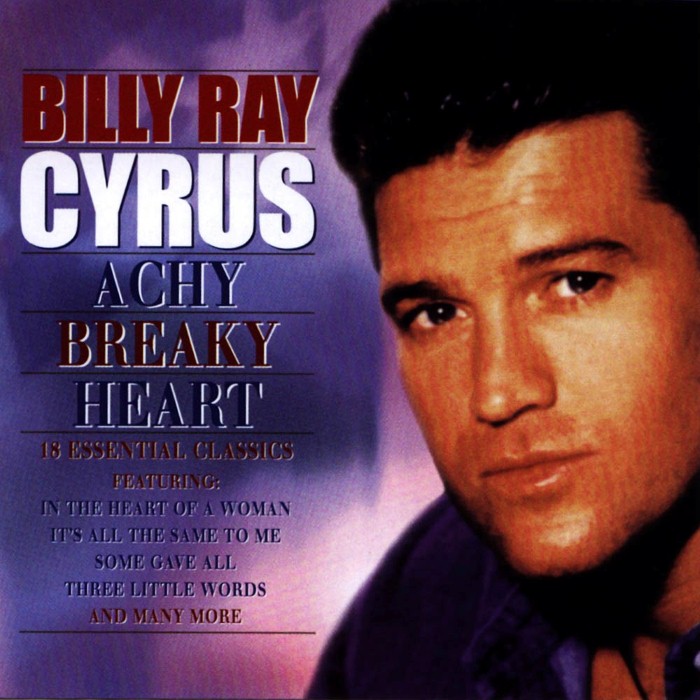 Achy Breaky Heart cover