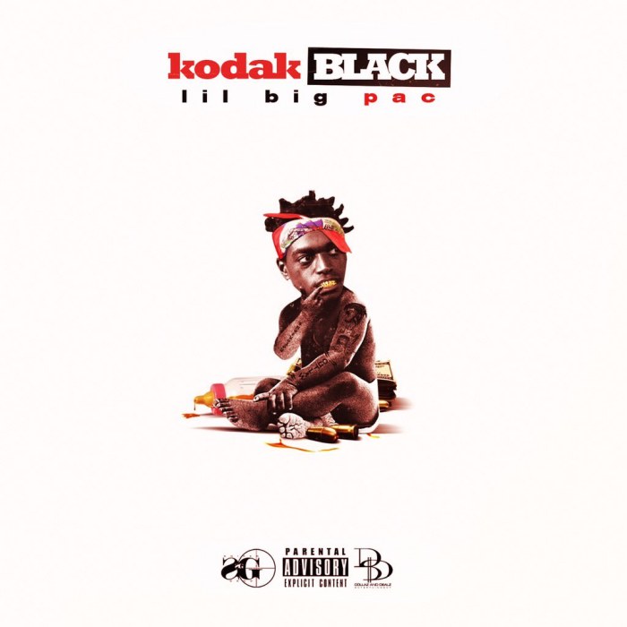 Lil B.I.G. Pac cover