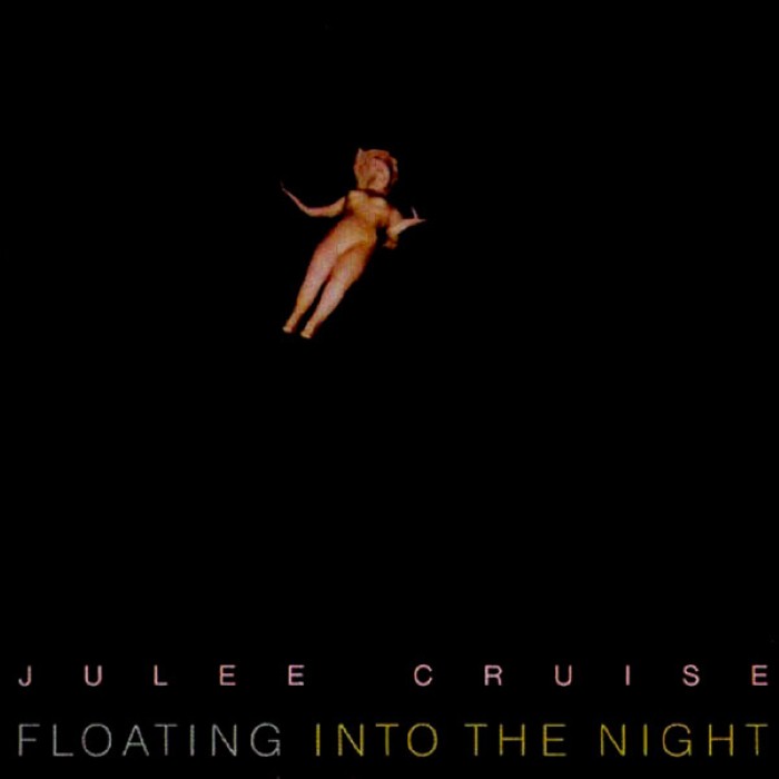 Cover of Floating Into the Night