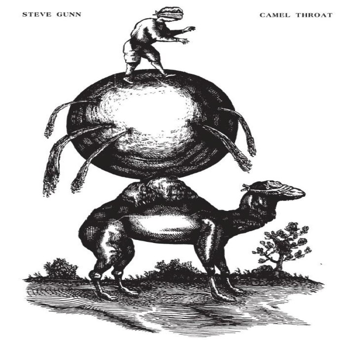 Camel Throat cover