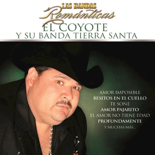 Las bandas románticas album thumb