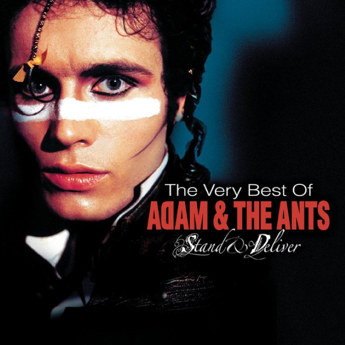 Antmusic: The Very Best of Adam Ant cover