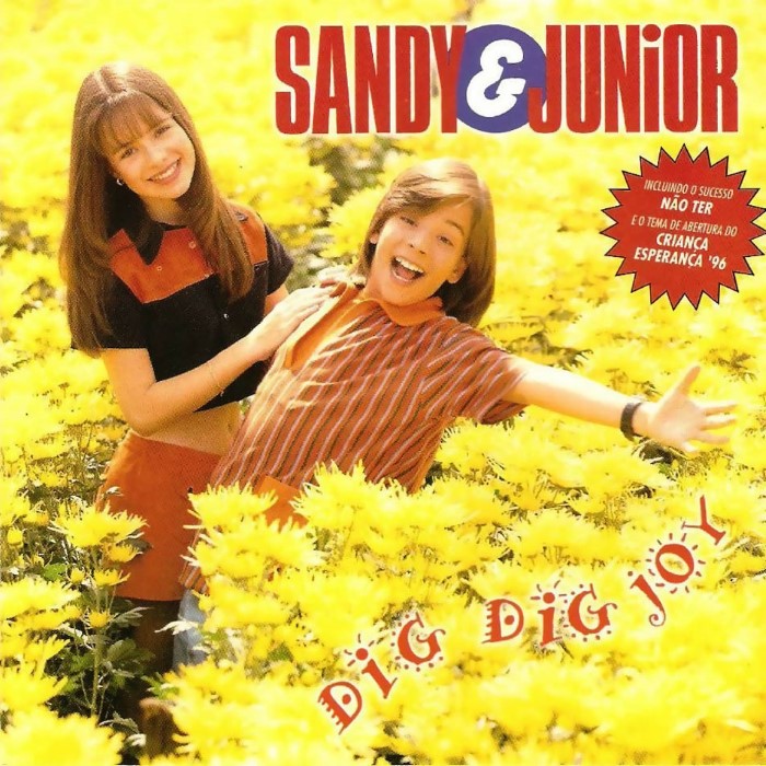 Dig Dig Joy cover