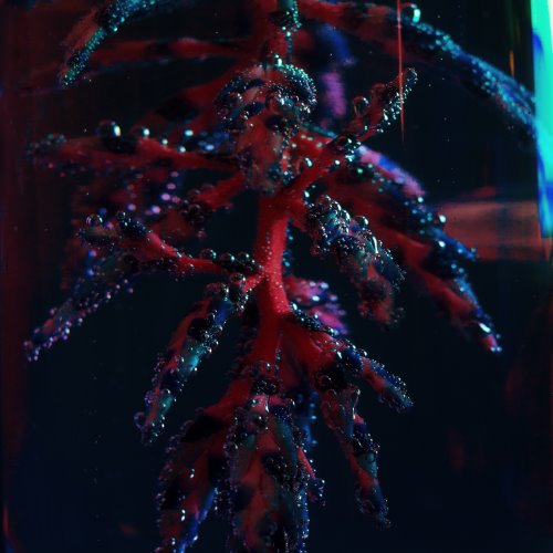 album thumb