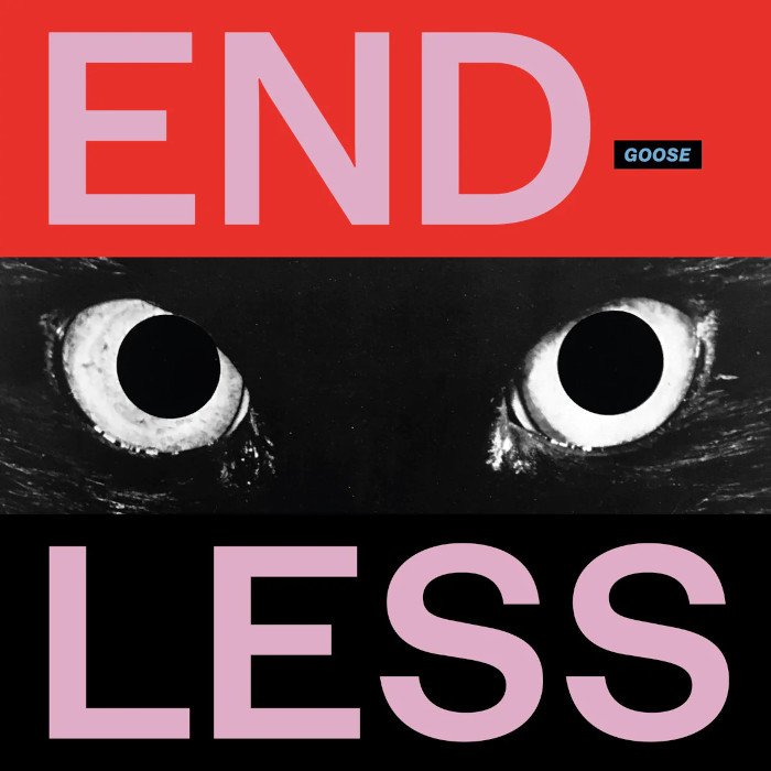 Endless cover