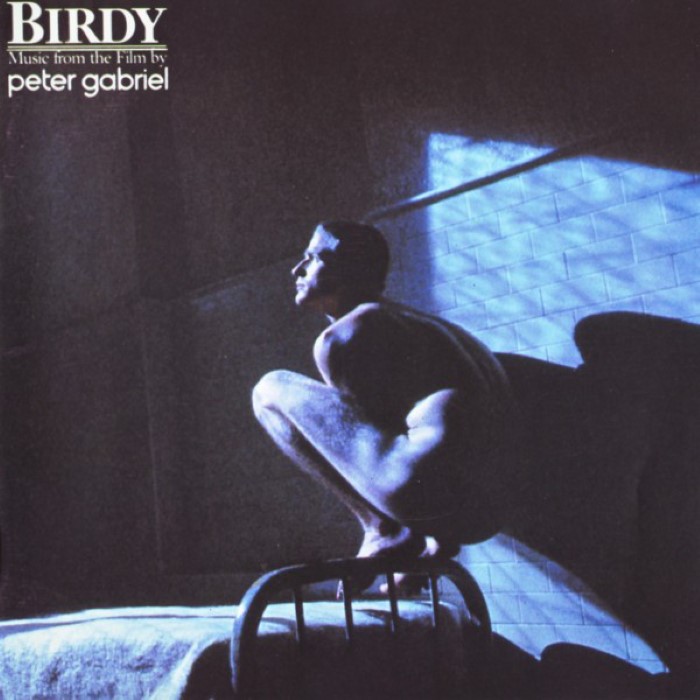 Birdy: Music From the Film cover