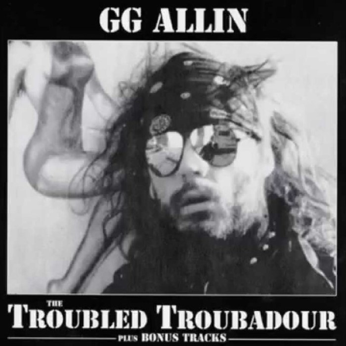 The Troubled Troubadour cover