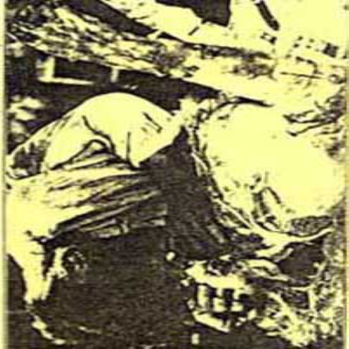 Goregasm cover