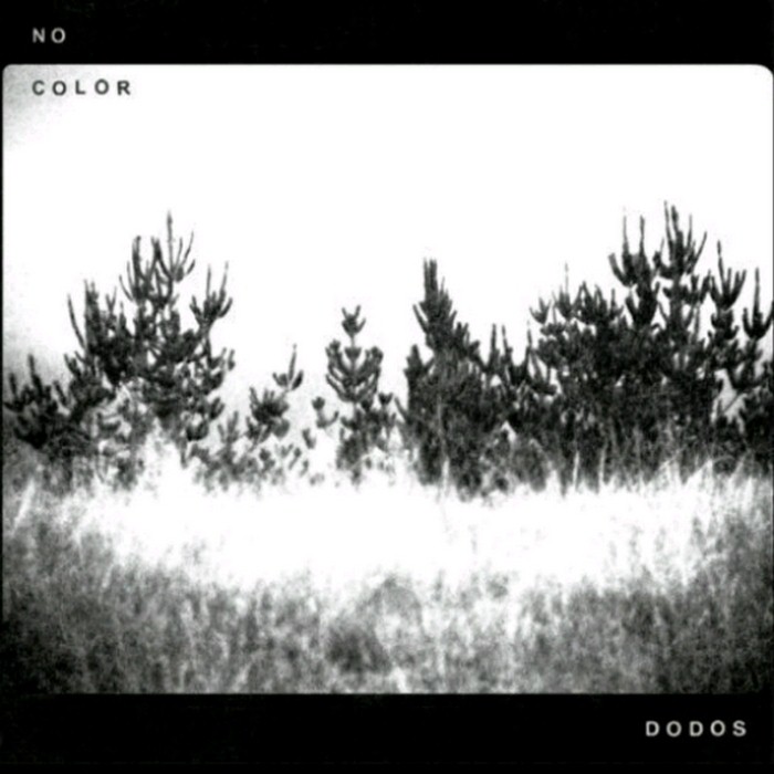 No Color cover