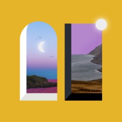 Album Thumb
