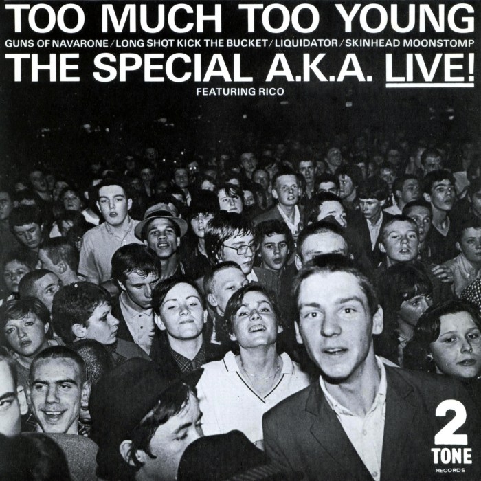 Too Much Too Young cover
