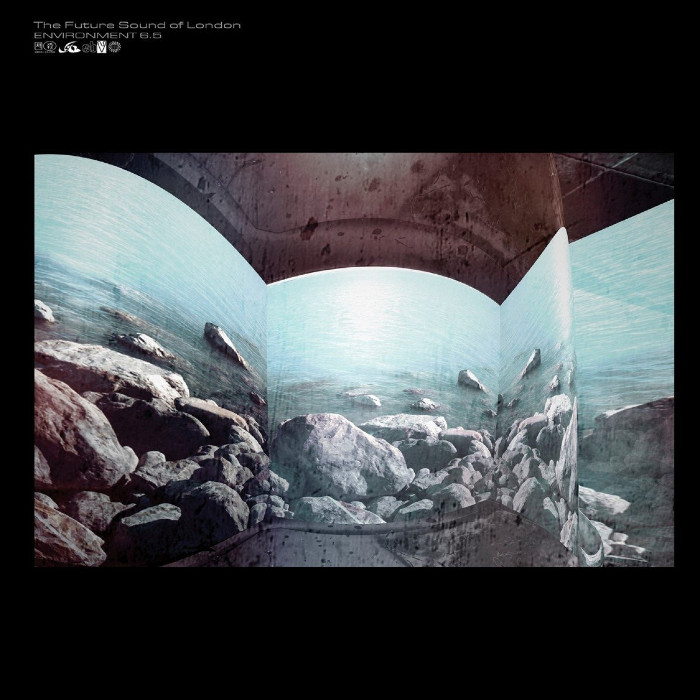 Environment 6.5 cover