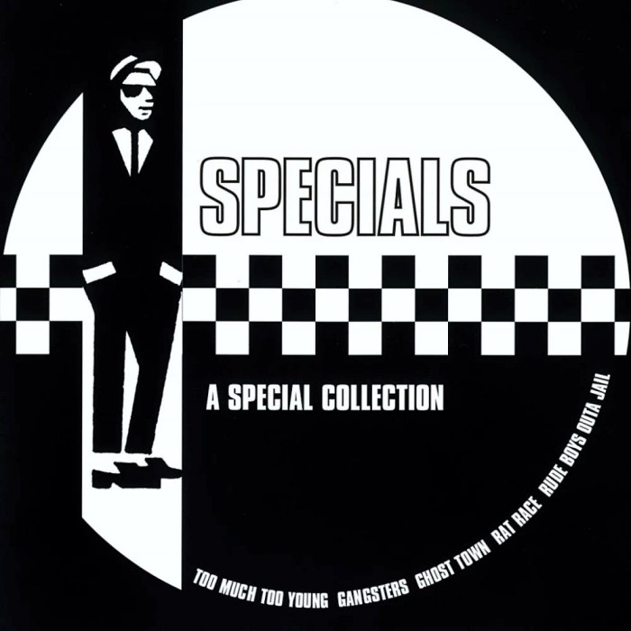 A Special Collection cover