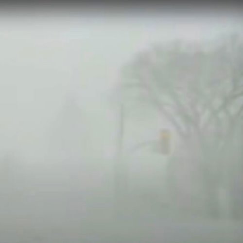 Winter Mallsoft Mood (Stay Inside) album thumb