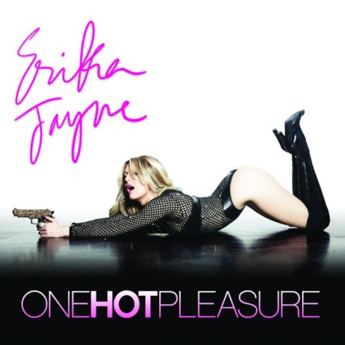 One Hot Pleasure Remixes EP 2 (Club Remixes) cover