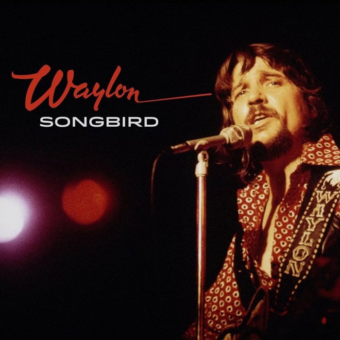 Songbird cover