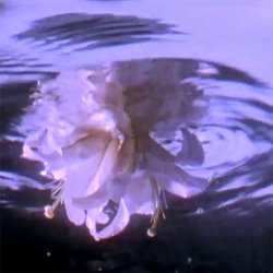 Cover Present album thumb