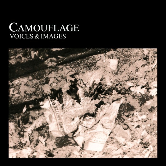 Voices & Images cover