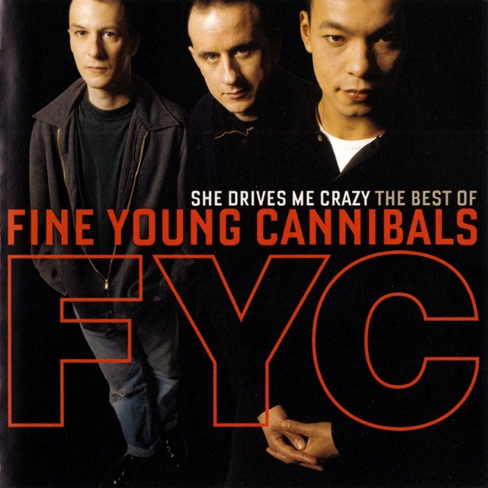 She Drives Me Crazy: The Best Of