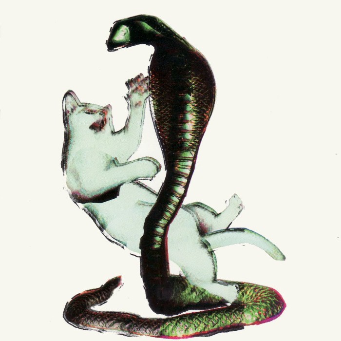 The Cat and the Cobra cover