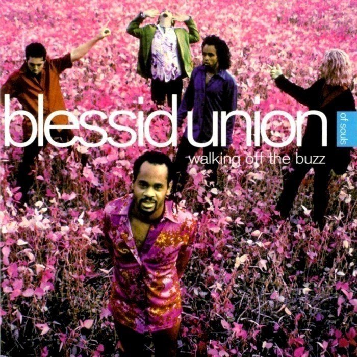 Walking Off the Buzz cover