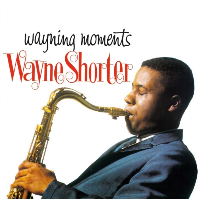 Wayning Moments cover