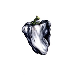 Album Thumb