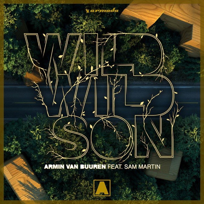 Wild Wild Son cover